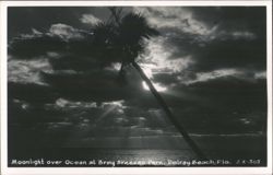 Moonlight over Ocean at Briny Breezes Park Postcard