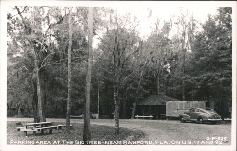 Parking Area at The Big Tree Longwood Florida