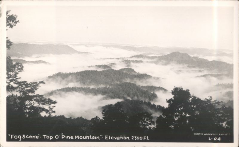 Fog Scene - Top O' Pine Mountain, Elevation 2300 Ft. Whitesburg Kentucky
