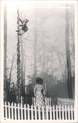 The Beanstalk Island attraction with Jack climbing Postcard