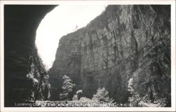 Natural Tunnel, Looking Out of Entrance Postcard