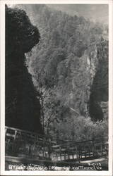Trail To Lover's Leap - Natural Tunnel Postcard