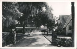 Lakeside Inn Entrance, Mt Dora Florida Postcard