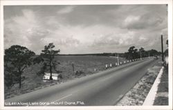 U.S. 441 Along Lake Dora Postcard