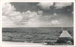 Lake Minneola with Dock and Beach Postcard