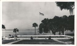 Lakeside Inn Swimming Pool with American Flag, Palm Trees, and Lake View Postcard