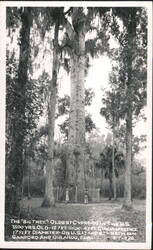 Stock #1121053 Thumbnail