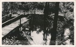 Lookout - Suwannee River Jungle Drive, Old Town, Florida Postcard