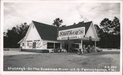 Stuckey's Candy Shoppe and Gas Station on U.S. 19 Postcard
