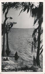 Lake Minnehaha View with Cypress Trees and Spanish Moss Postcard
