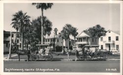 Sightseeing Hacks with Horse-Drawn Carriages and Palm Trees Postcard