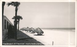 The Beach At The Inlet with Palm Trees & Tiki Huts Postcard