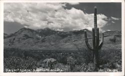 Desert Scene - Southern Arizona with Saguaro Cactus and Mountains Postcard
