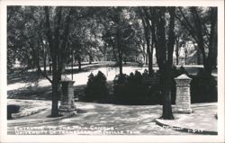 Entrance to Main Campus, University of Tennessee Postcard