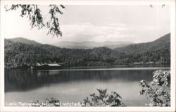 Stock #1121212 Thumbnail