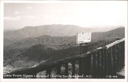 Alpine Lookout View with Tip Jar Sign, Little Switzerland Postcard