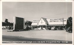 Caspers Alligator Jungle & World's Largest Alligator Ostrich Farm Entrance Postcard