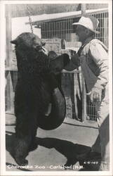 Man and Bear Playing with Tire at Cherokee Zoo Postcard