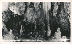 Hanging Stalagmites in Carlsbad Caverns Postcard
