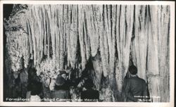 Formations in Carlsbad Caverns Postcard