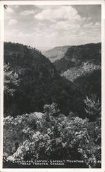 Cloudland Canyon - Lookout Mountain Postcard