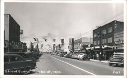 Plaza Theater and Main Street Businesses with Banners Postcard