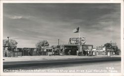 Chicago Service Station, Coffee Shop and Free Zoo Postcard