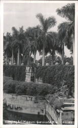 Ringling Art Museum Garden with Statues and Palm Trees Postcard