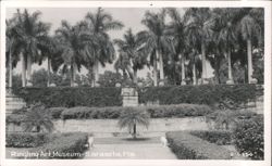 Ringling Art Museum Grounds with Palm Trees and Sculptures Postcard