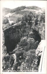 Gorge of Natural Tunnel from Lover's Leap Postcard