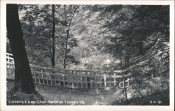Lover's Leap Trail - Natural Tunnel Postcard