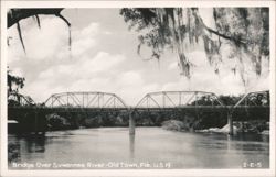 Bridge Over Suwannee River, Old Town, Florida Postcard