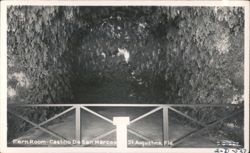 Fern Room - Castillo De San Marcos Postcard