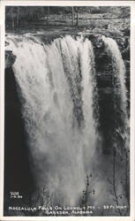 Noccalula Falls on Lookout Mountain - 95 Ft. High Postcard