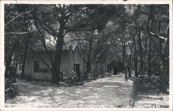Approaching The Shrine Of La Leche Postcard