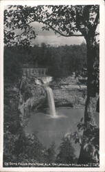 De Soto Falls on Lookout Mountain Postcard