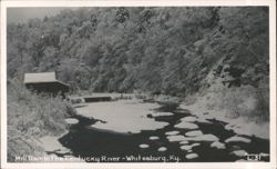 Mill Dam In The Kentucky River Postcard