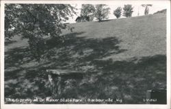 The Spring at Dr. Walker State Park Postcard