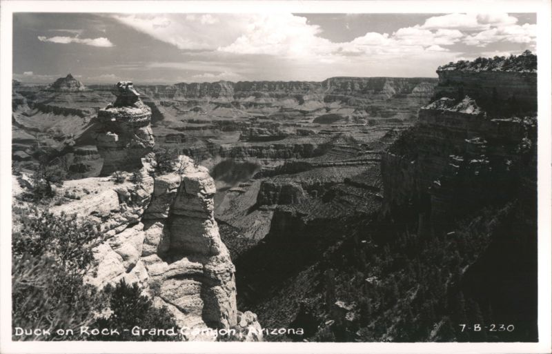 Grand Canyon View with Duck on Rock Formation Grand Canyon National Park Arizona
