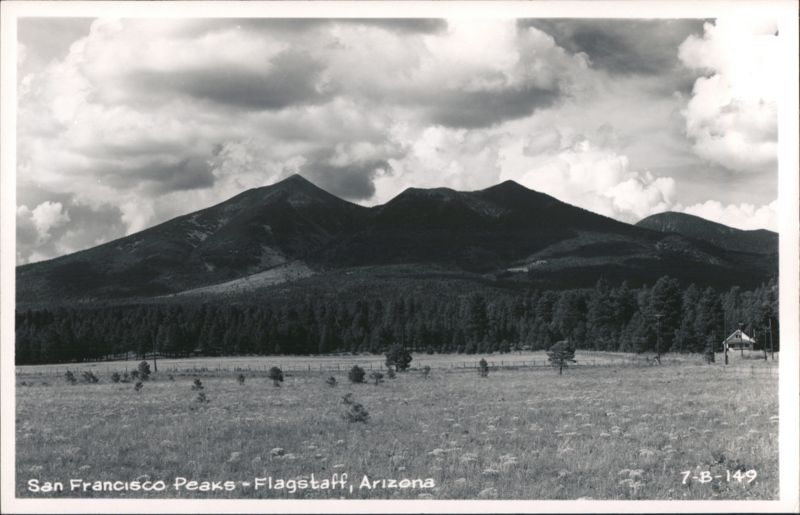 San Francisco Peaks with Forest and Field, Flagstaff Arizona