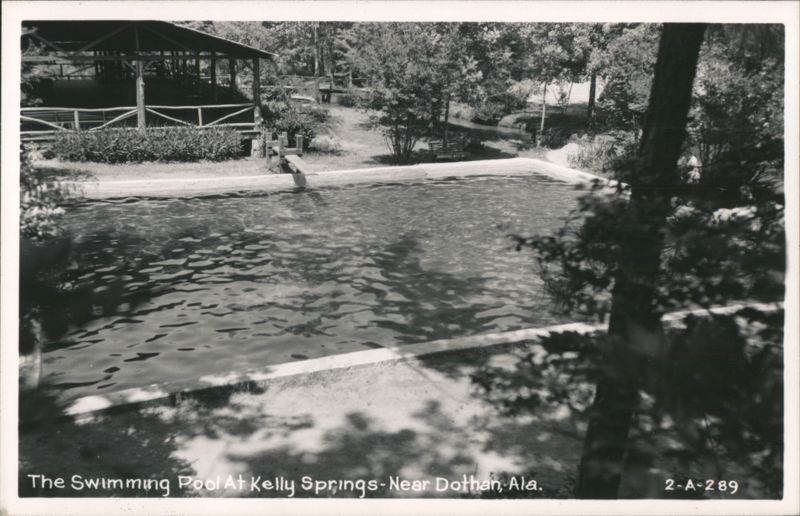 Swimming Pool at Kelly Springs Dothan Alabama
