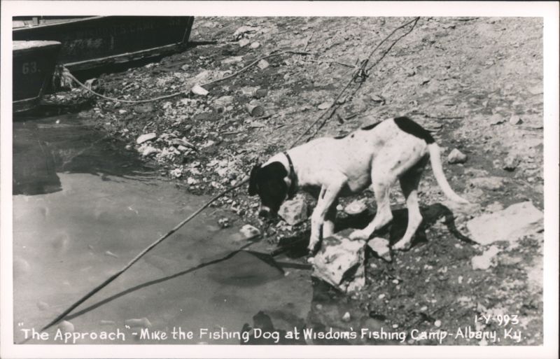 The Approach - Mike the Fishing Dog at Wisdom's Fishing Camp Albany Kentucky