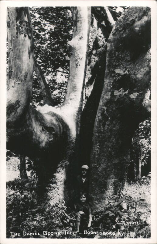 The Daniel Boone Tree with two people Boonesboro Kentucky