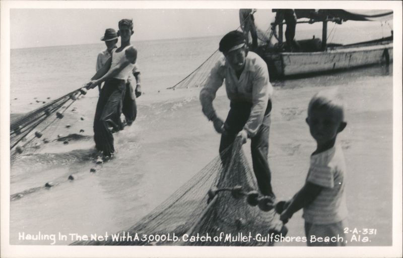 Hauling In The Net With A 3,000 Lb. Catch of Mullet Gulf Shores Alabama