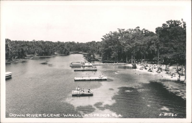 Down River Scene at Wakulla Springs Florida
