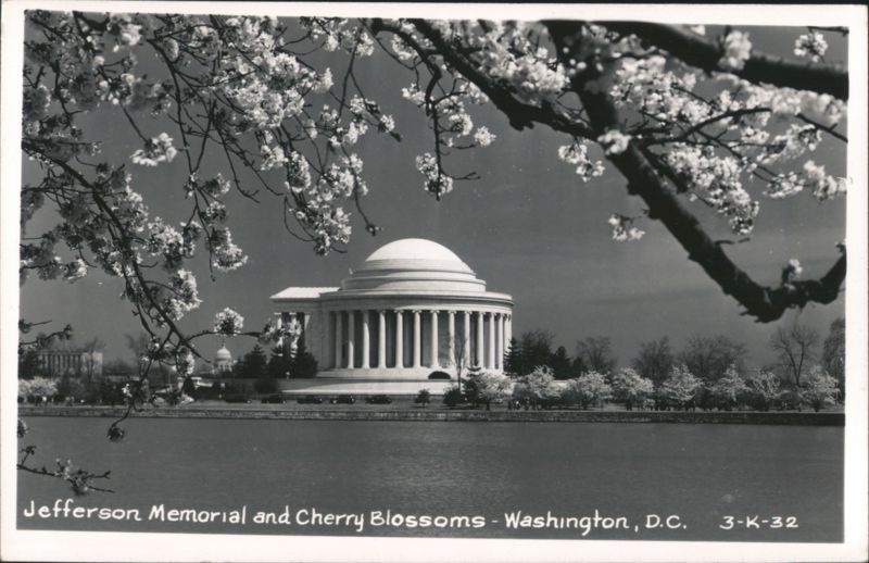 Jefferson Memorial and Cherry Blossoms Washington District of Columbia