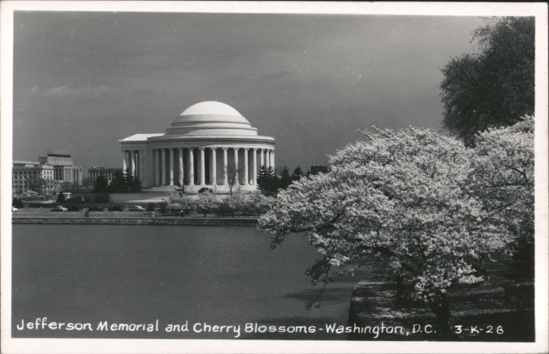Jefferson Memorial and Cherry Blossoms Washington District of Columbia