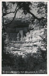 Montezuma Castle National Monument Cliff Dwelling Postcard