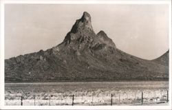 Picacho Peak, desert landscape with saguaro cacti Postcard