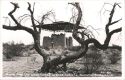 Ruins from the west - Casa Grande National Monument Postcard